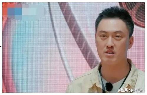 娱乐圈吃瓜爆料文档,揭秘明星背后的故事