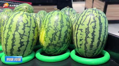 娱乐吃瓜酱潍坊