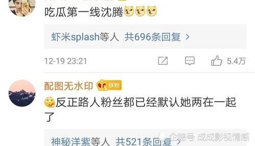 评论娱乐吃瓜,揭秘明星幕后故事