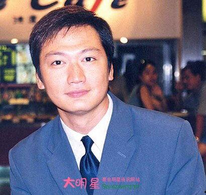 陶大宇电视剧,揭秘悬疑背后的正义之光