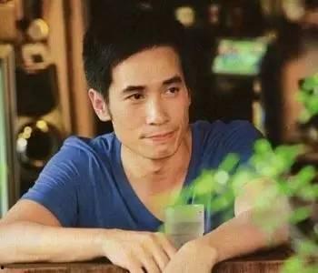 陈豪电视剧,演绎人生百态，诠释情感真谛