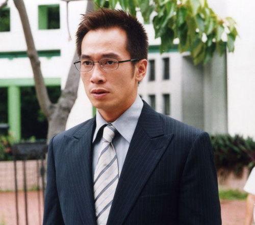 陈豪电视剧,演绎人生百态，诠释情感真谛