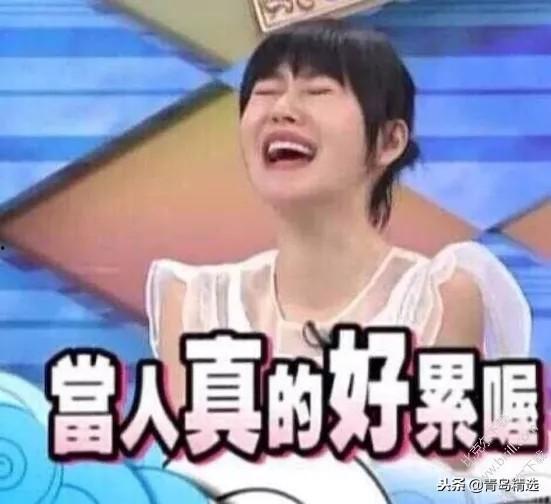 调侃娱乐圈吃瓜的口水歌,吃瓜群众狂欢曲