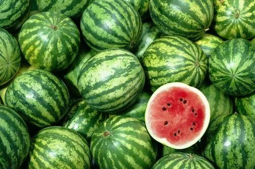 娱乐吃瓜作品在哪看